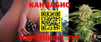 дживик Шелехов