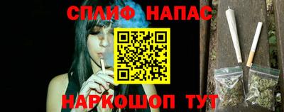 дживик Шелехов