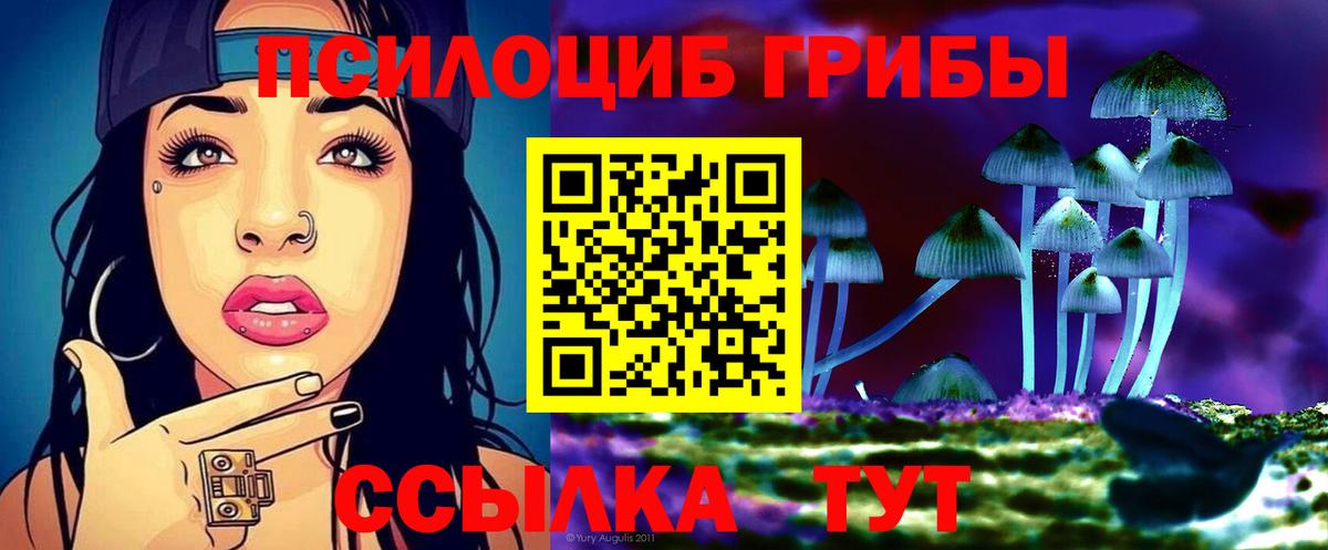 Псилоцибиновые грибы мицелий Холмск