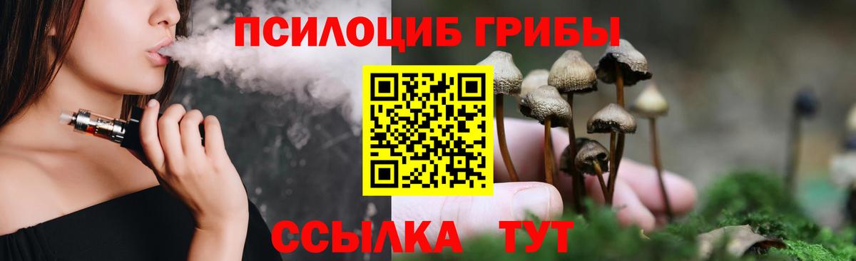 Псилоцибиновые грибы прущие грибы  Вход с VPN  Холмск 